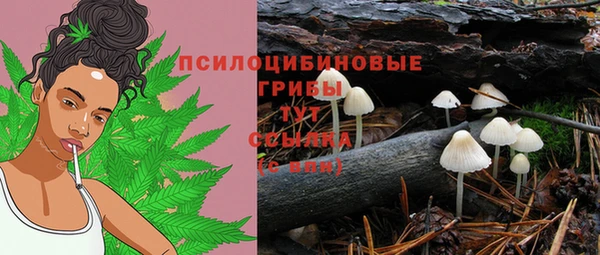 ПСИЛОЦИБИНОВЫЕ ГРИБЫ Абинск