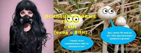 ПСИЛОЦИБИНОВЫЕ ГРИБЫ Абинск